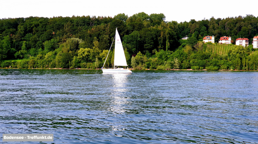 (Bild © bodensee-treffpunkt.de - W. Hodapp)