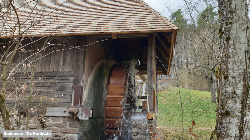 (Bild © bodensee-treffpunkt.de - W. Hodapp)